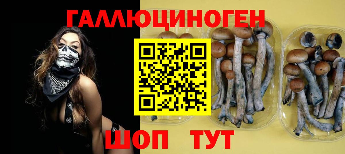 Псилоцибиновые грибы мухоморы  Галлюциногенные грибы Magic Shrooms  даркнет сайт  Вход с VPN  Тобольск 